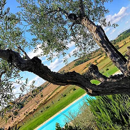 Bed & Breakfast Macchiabuia Capalbio